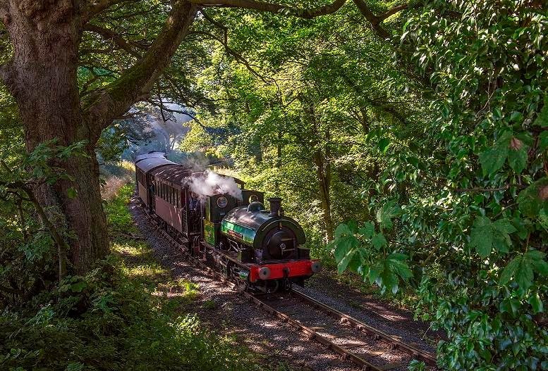 steam train trips for disabled
