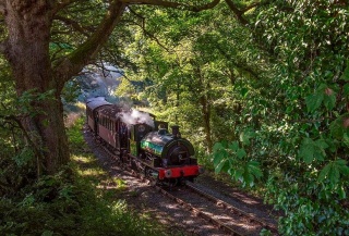 Heritage Steam Train Trips 2024